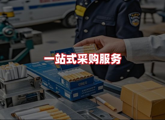 专业团队